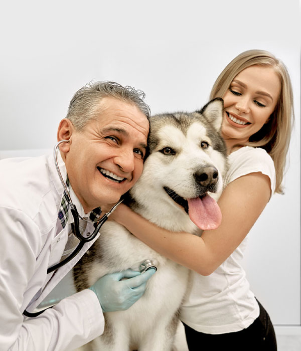 The Benefits Of a PetVet Dx Partnership