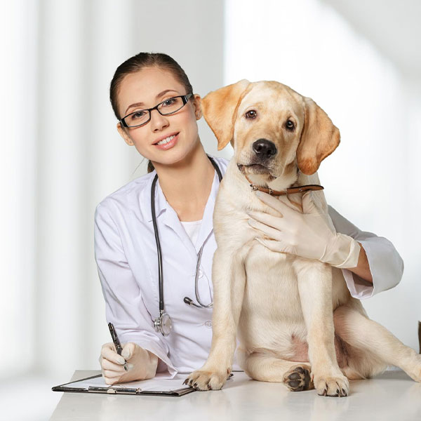 The PetVet Dx Advantage